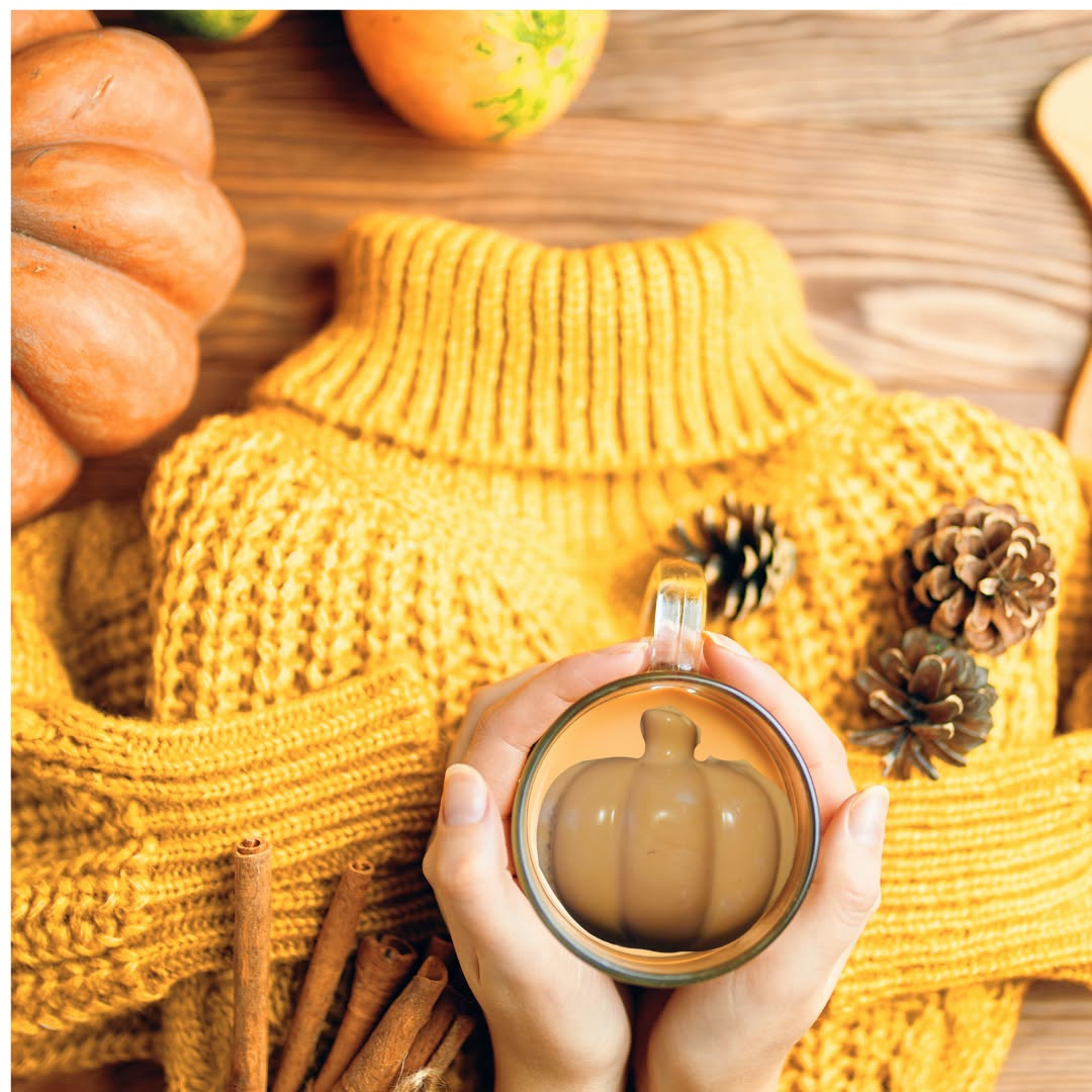 Signature Gourmet Cocoa Bombs – Organic Fair Trade Drinking Chocolate | Sugar Apothecary